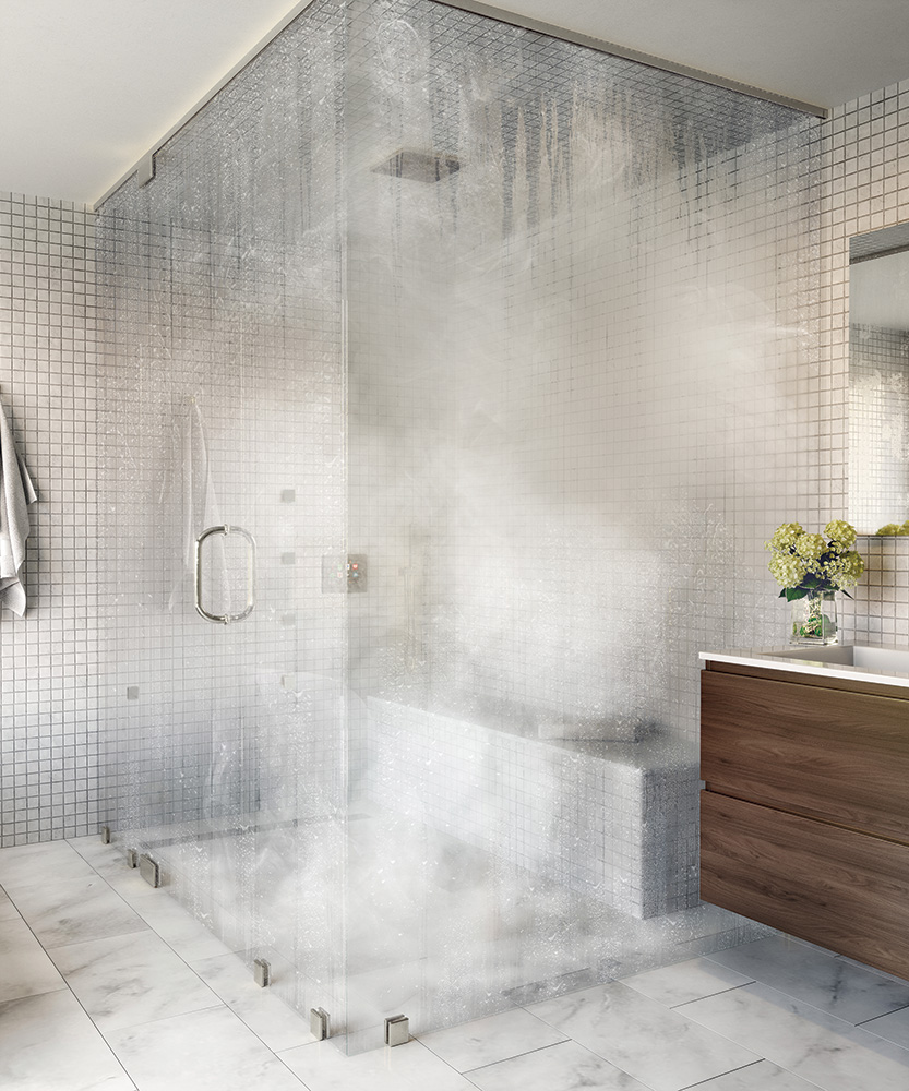 steam shower system